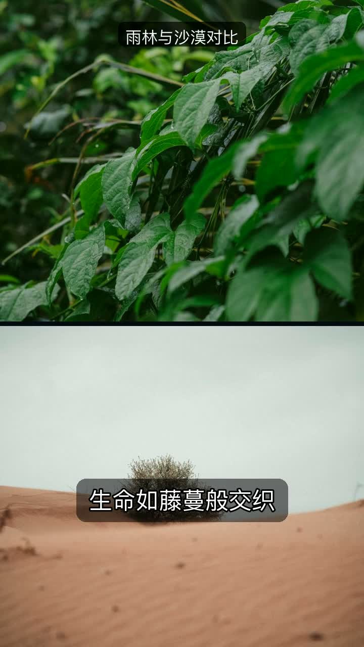 split screen
